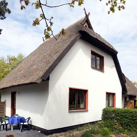 Ferienwohnung Meerzeit Ahrenshoop Exterior foto